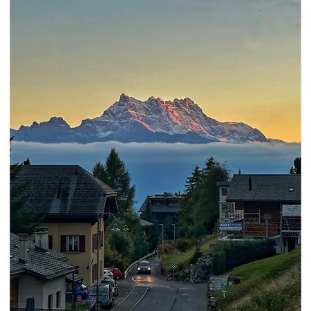 Chalet 4 Personnes Avec Sauna Leysin Εξωτερικό φωτογραφία