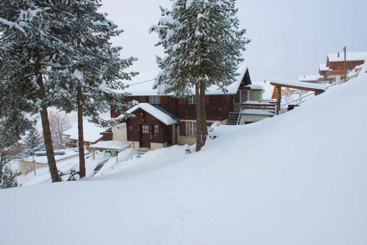 Chalet 4 Personnes Avec Sauna Leysin Εξωτερικό φωτογραφία