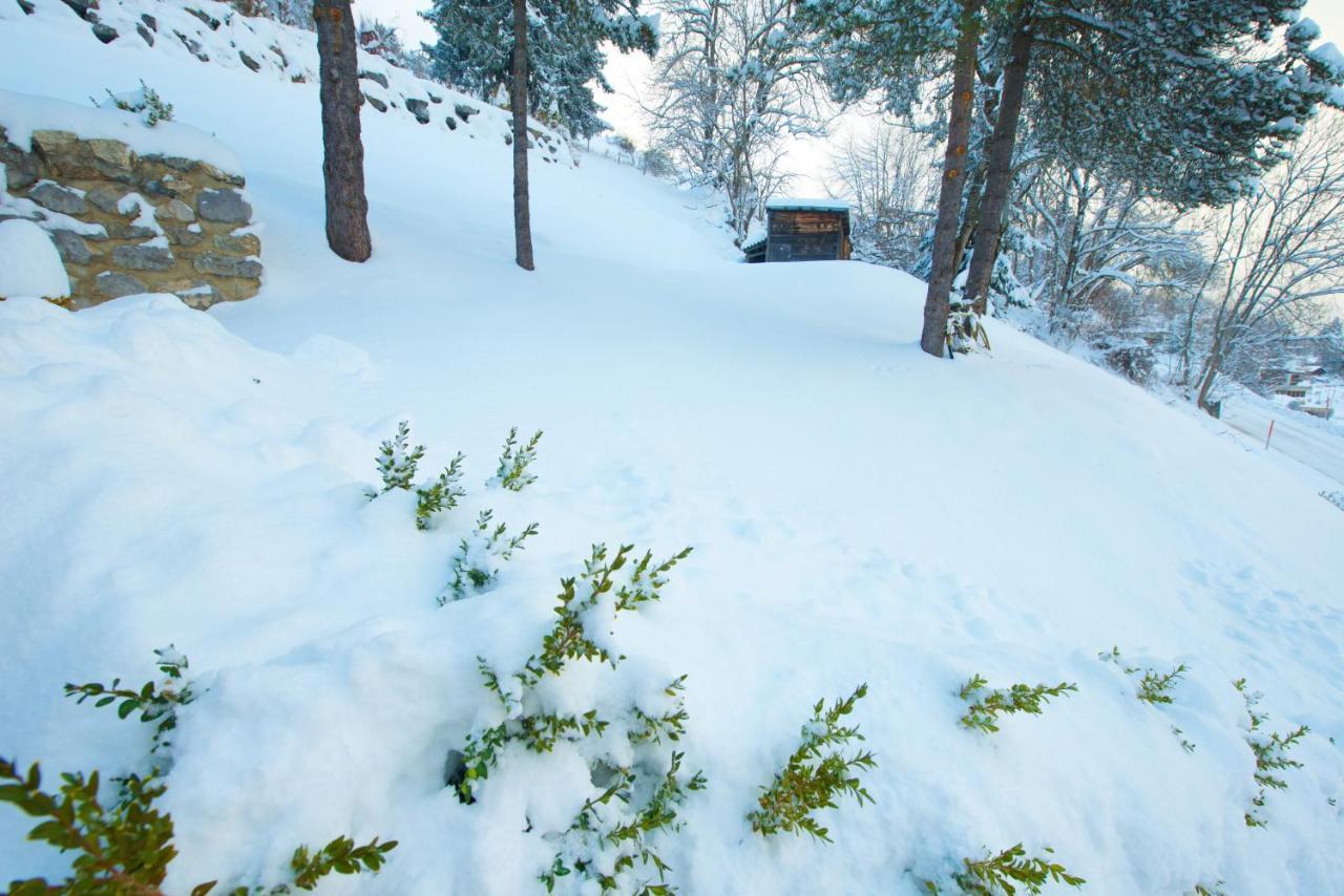 Chalet 4 Personnes Avec Sauna Leysin Εξωτερικό φωτογραφία