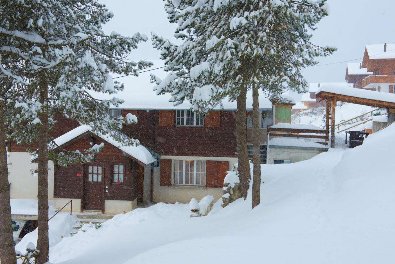 Chalet 4 Personnes Avec Sauna Leysin Εξωτερικό φωτογραφία